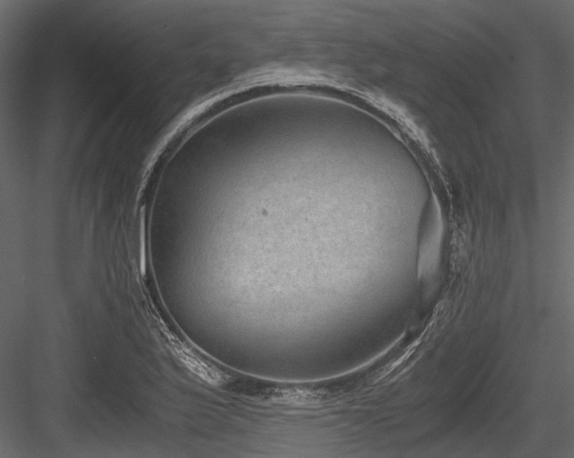 X0000084571175200702231251