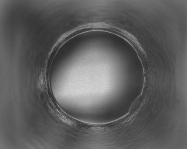 X0000084571176200702231251