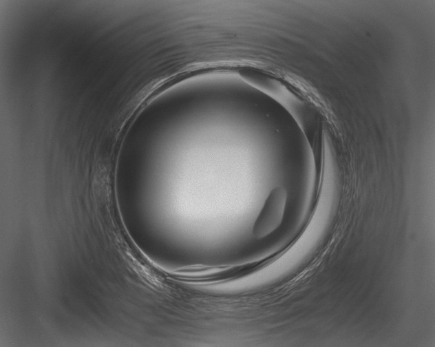X0000084571177200702231251
