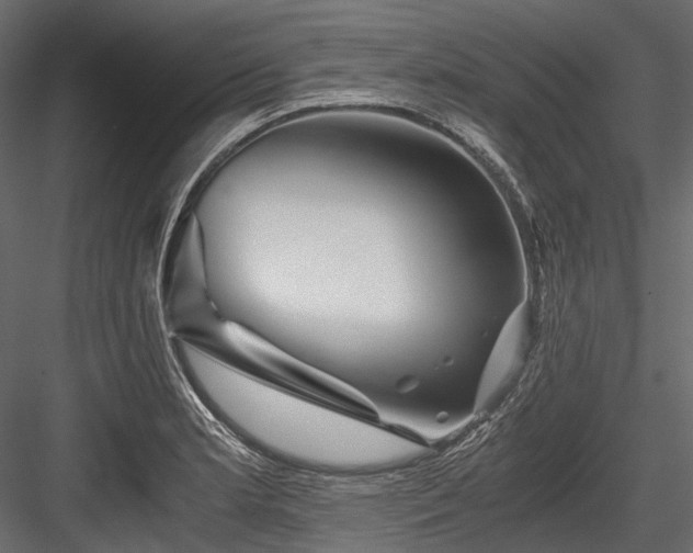 X0000084571181200702231251
