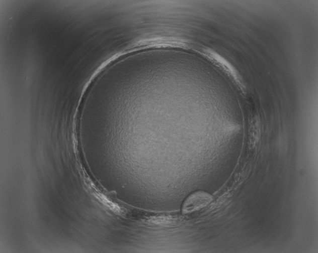X0000084571182200702231251