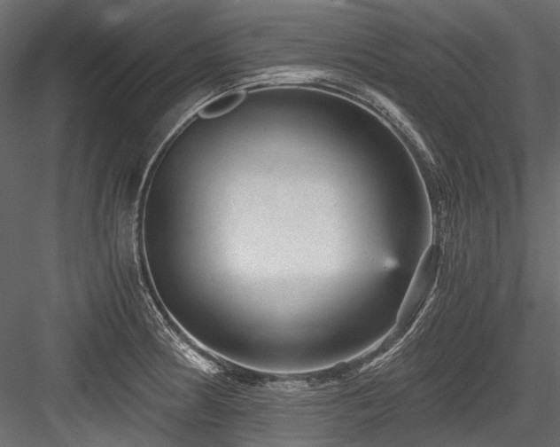 X0000084571186200702231251