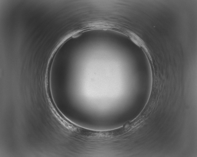 X0000084571195200702231250