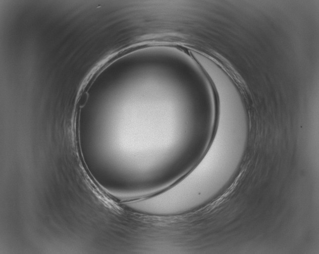 X0000084571196200702231250