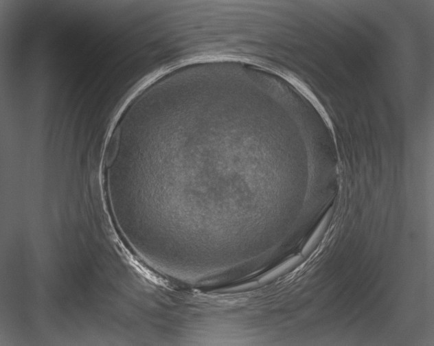 X0000084571197200702231250