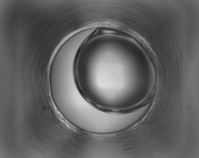 X0000084571200200702231250