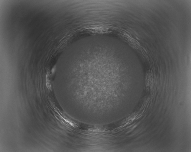 X0000084571202200702231249