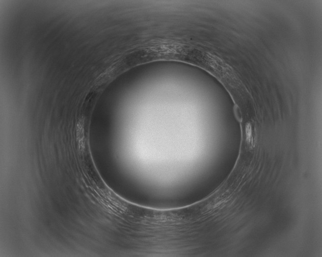 X0000084571203200702231250