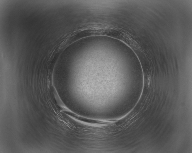 X0000084571204200702231250