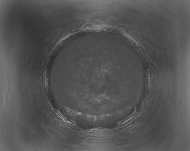 X0000084571206200702231250