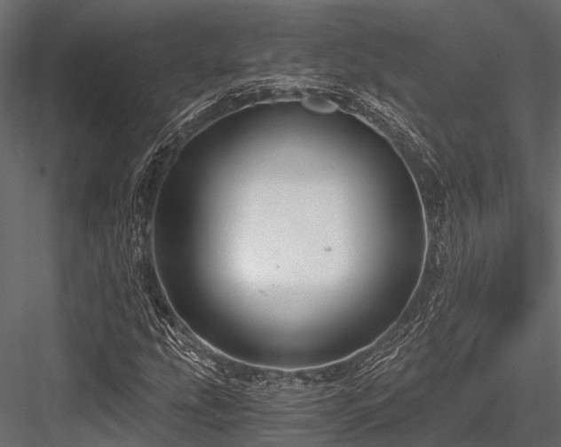 X0000084571207200702231250
