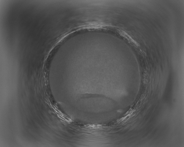 X0000084571208200702231250