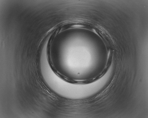 X0000084571210200702231250