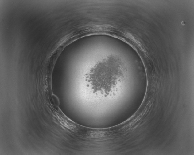 X0000084571211200702231250
