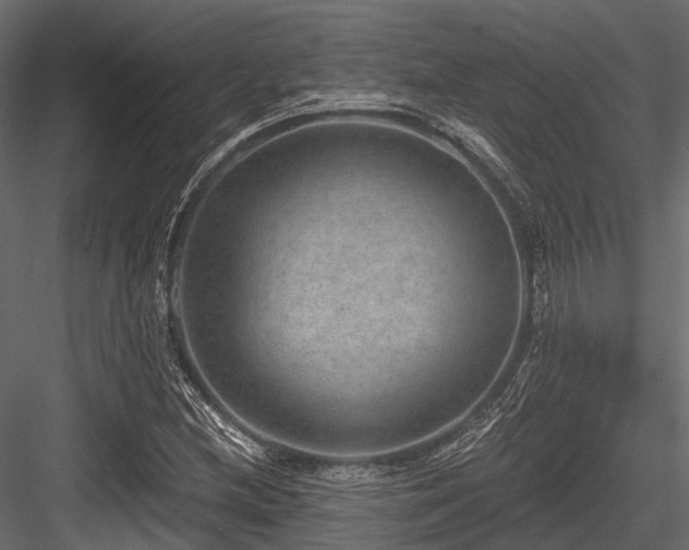 X0000084571212200702231250