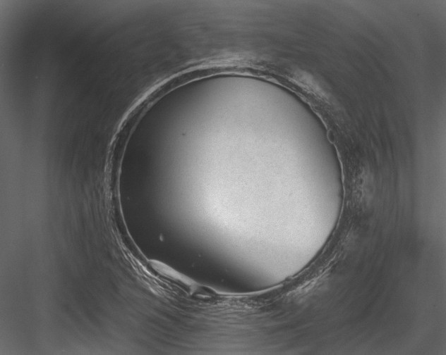 X0000084571216200702231250