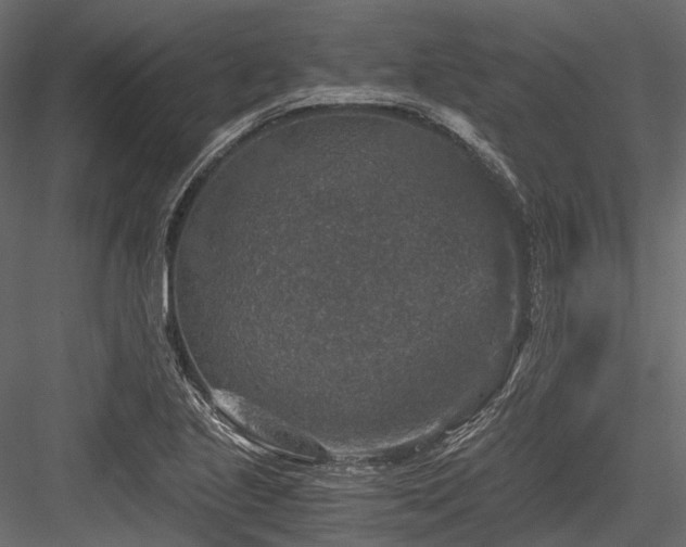 X0000084571221200702231250