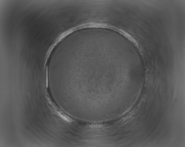 X0000084571223200702231250