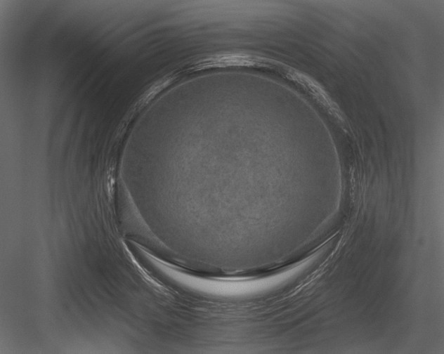 X0000084571225200702231250