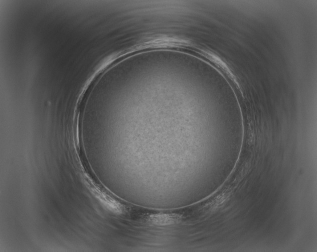 X0000084571227200702231250