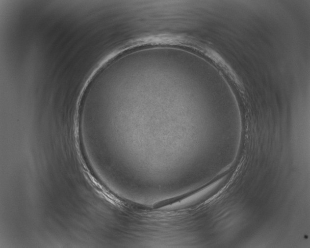 X0000084571232200702231250