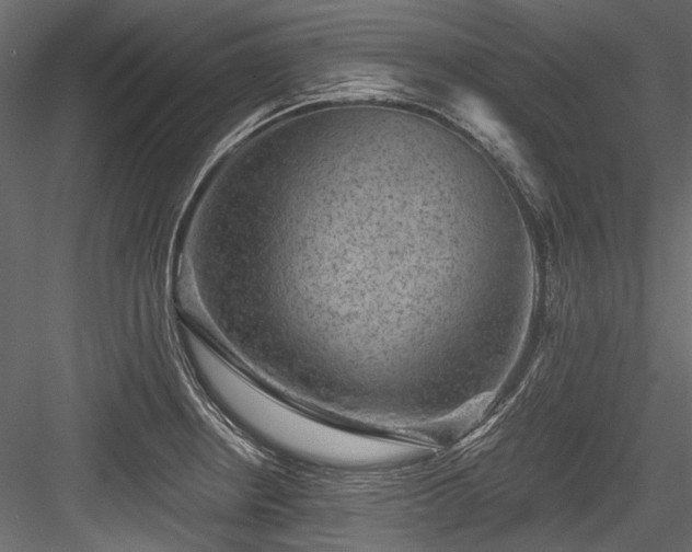 X0000084571234200702231250