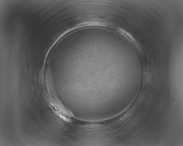 X0000084571236200702231250