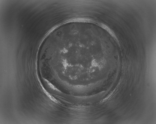 X0000084571237200702231250