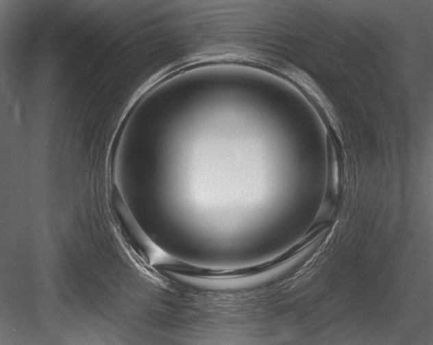 X0000084571242200702231250