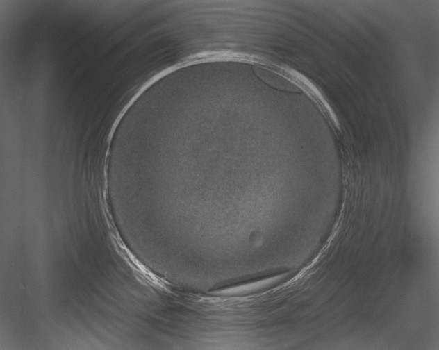 X0000084571244200702231250