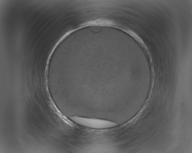 X0000084571248200702231250