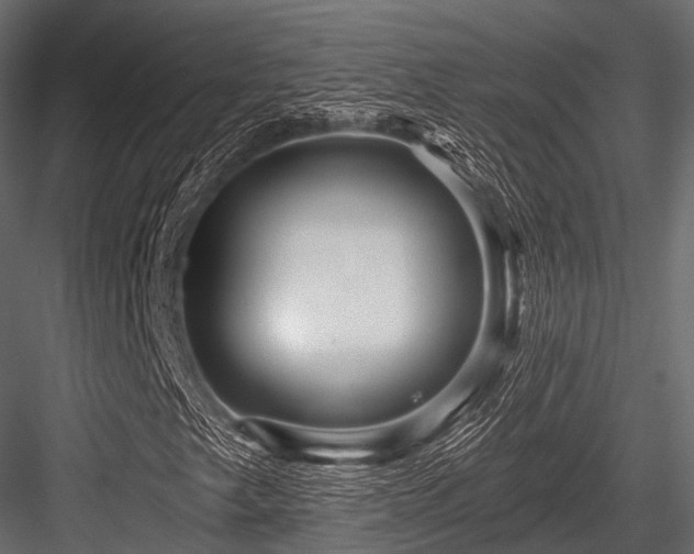 X0000084571249200702231249