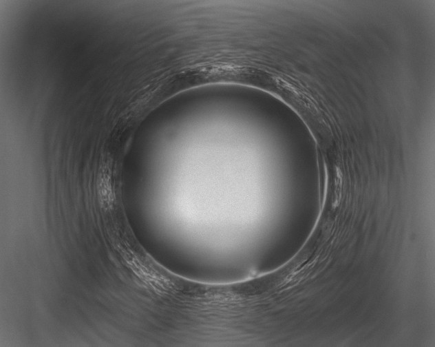 X0000084571250200702231249