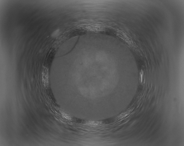 X0000084571251200702231249