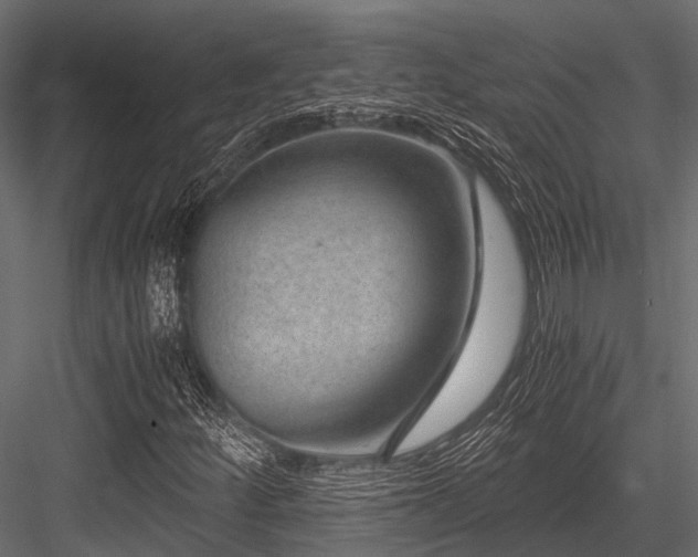 X0000084571252200702231249