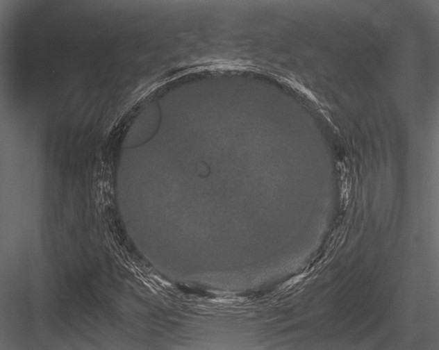 X0000084571255200702231249