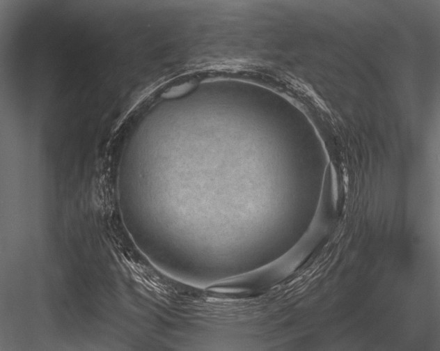 X0000084571256200702231249