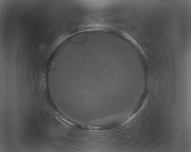 X0000084571259200702231249