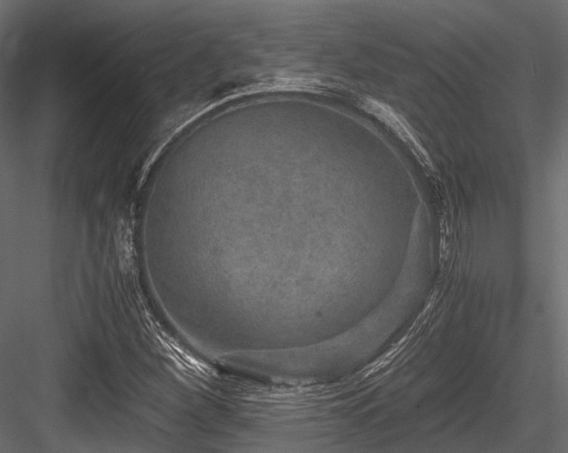 X0000084571260200702231249