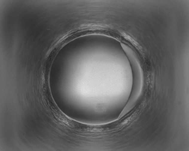 X0000084571261200702231249