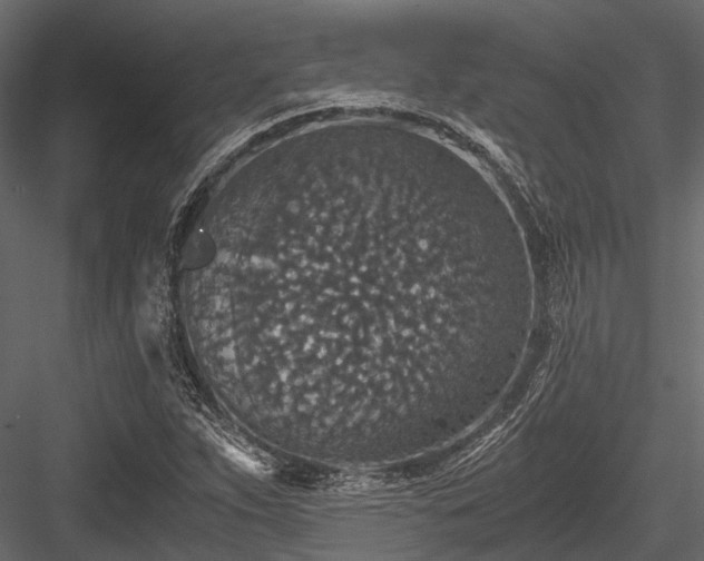 X0000084571263200702231249