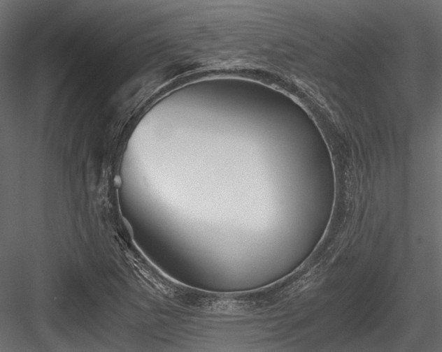 X0000084571265200702231249