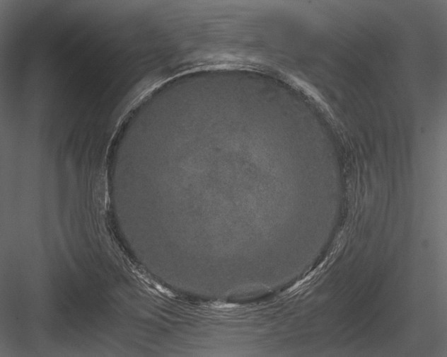X0000084571267200702231249