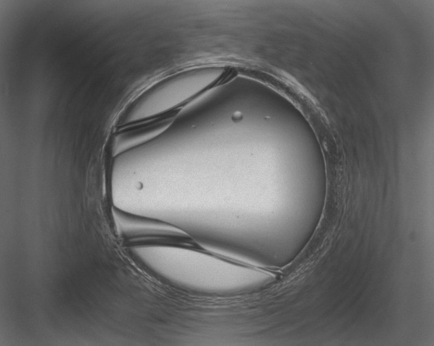 X0000084571269200702231249