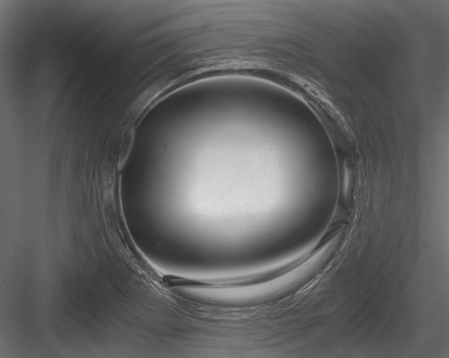X0000084571273200702231249
