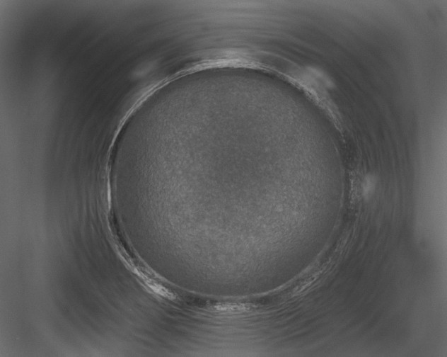 X0000084571274200702231249