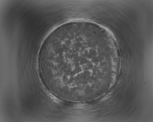 X0000084571279200702231249