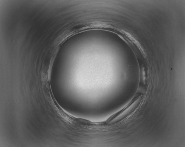 X0000084571281200702231249