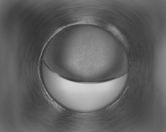 X0000084571284200702231249