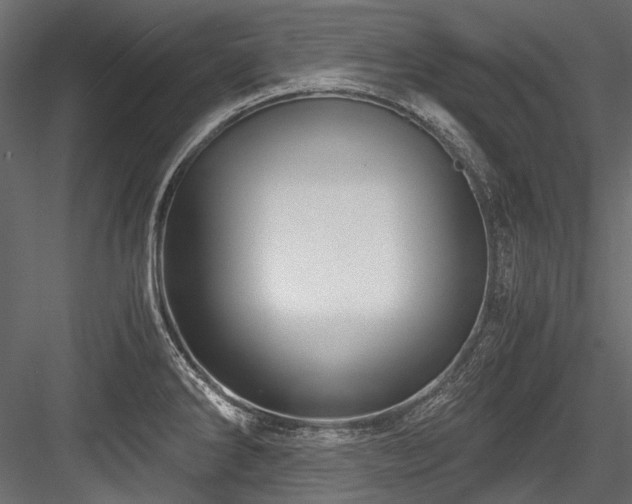 X0000084571286200702231249